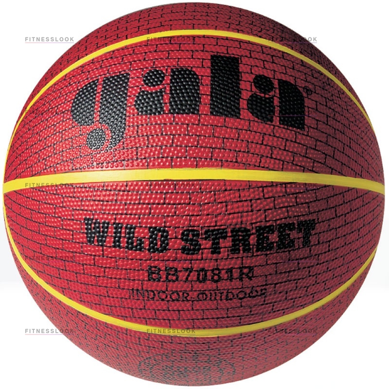 Gala Wild Street 7 из каталога баскетбольных мячей в Санкт-Петербурге по цене 990 ₽